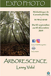 Caromb expo arborescence