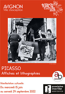 Avignon Picasso visuel