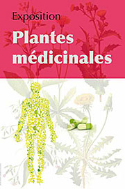 Les Plantes medicinales