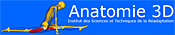 Anatomie 3D Logo