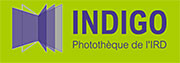 Logo Indigo